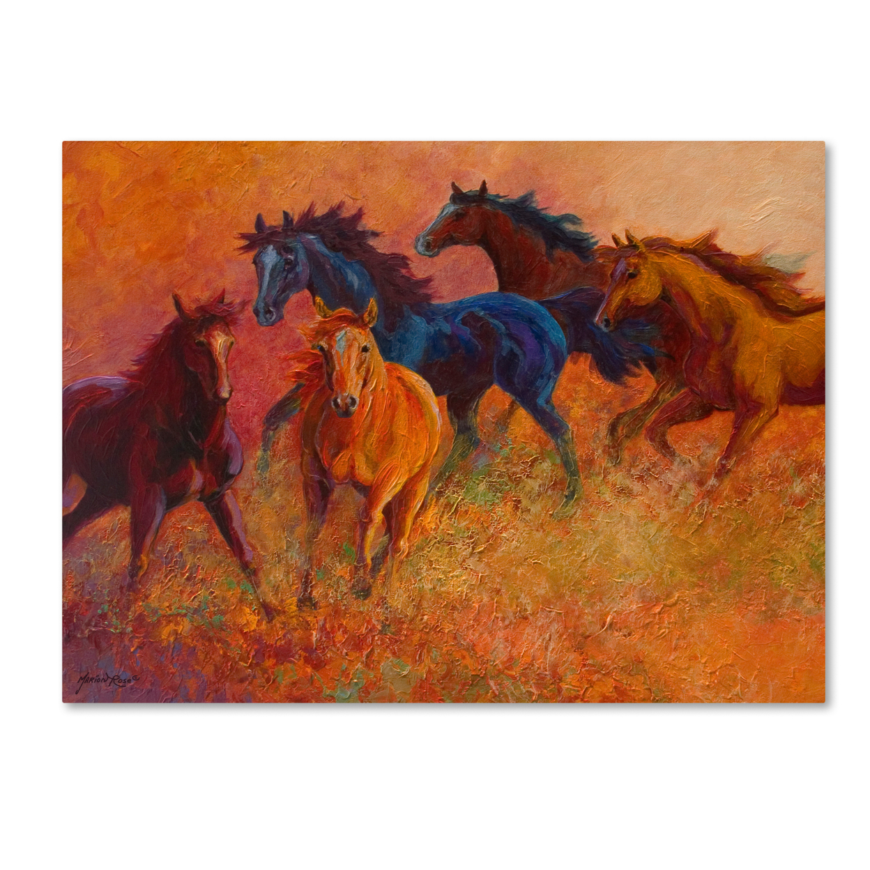 Marion Rose 'Free Range Horses' Ready To Hang Canvas Art 18 X 24 Inches Made In USA