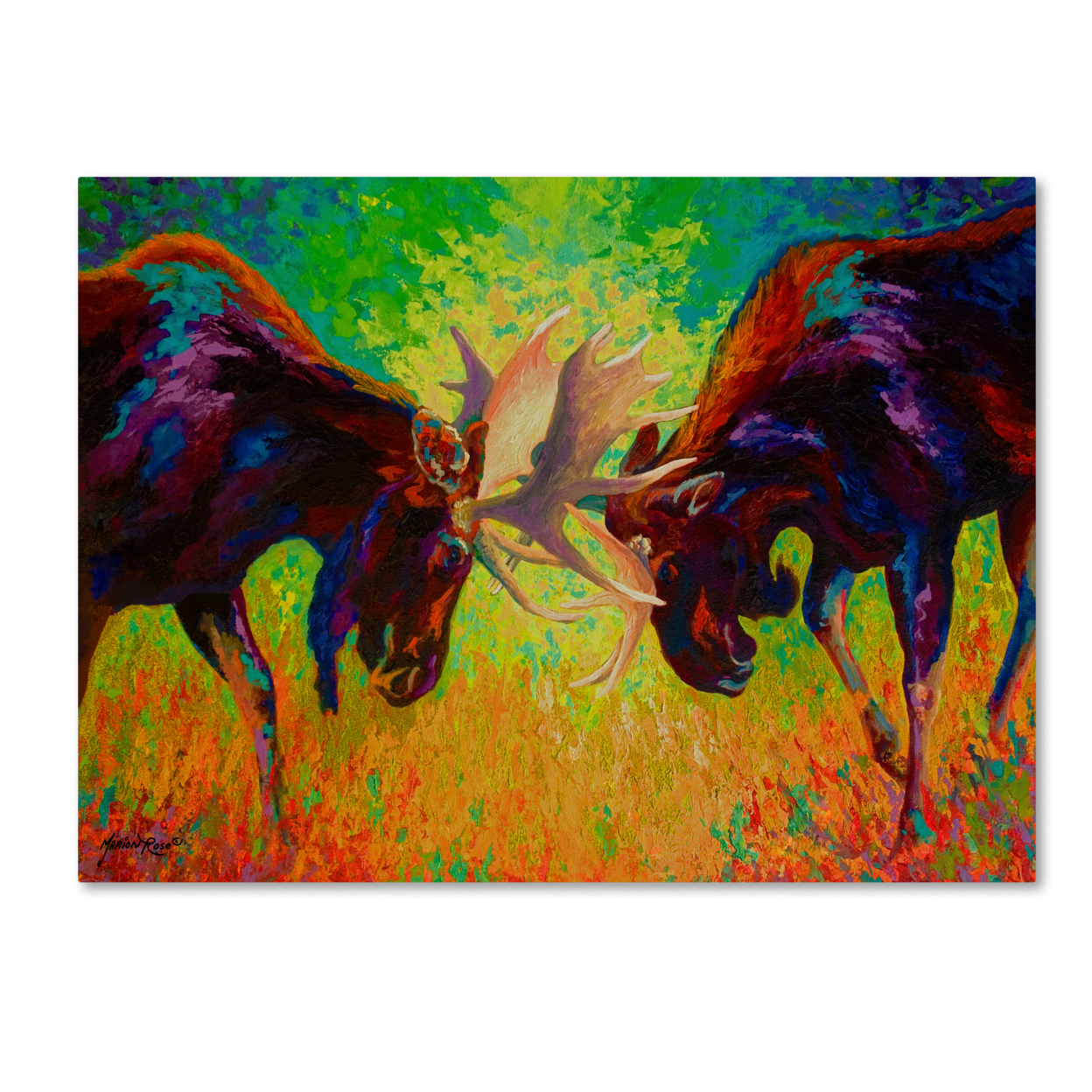 Marion Rose 'Just Sparring Moose' Ready To Hang Canvas Art 18 X 24 Inches Made In USA