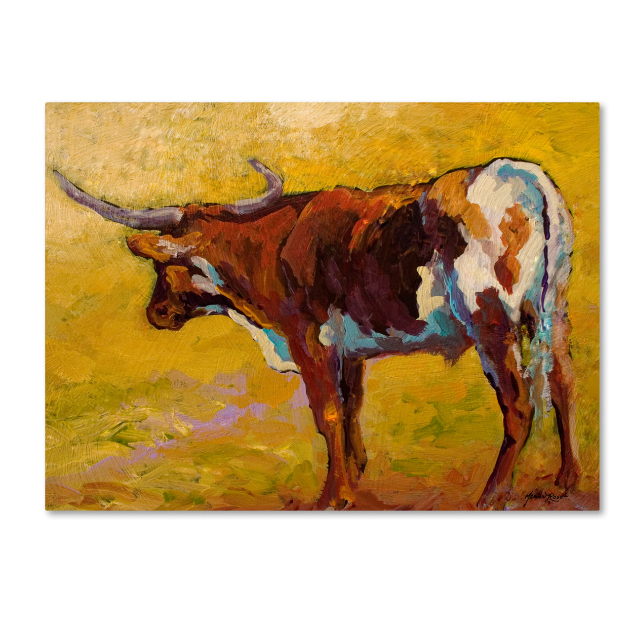 Marion Rose 'Longhorn Back Portrait' Ready To Hang Canvas Art 18 X 24 Inches Made In USA