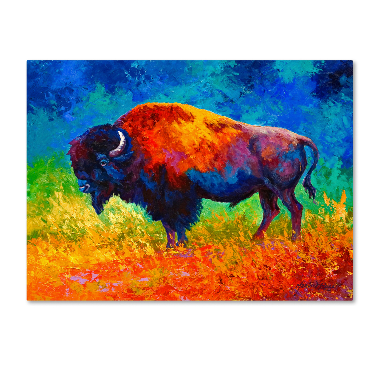 Marion Rose 'Master Of His Herd' Ready To Hang Canvas Art 18 X 24 Inches Made In USA