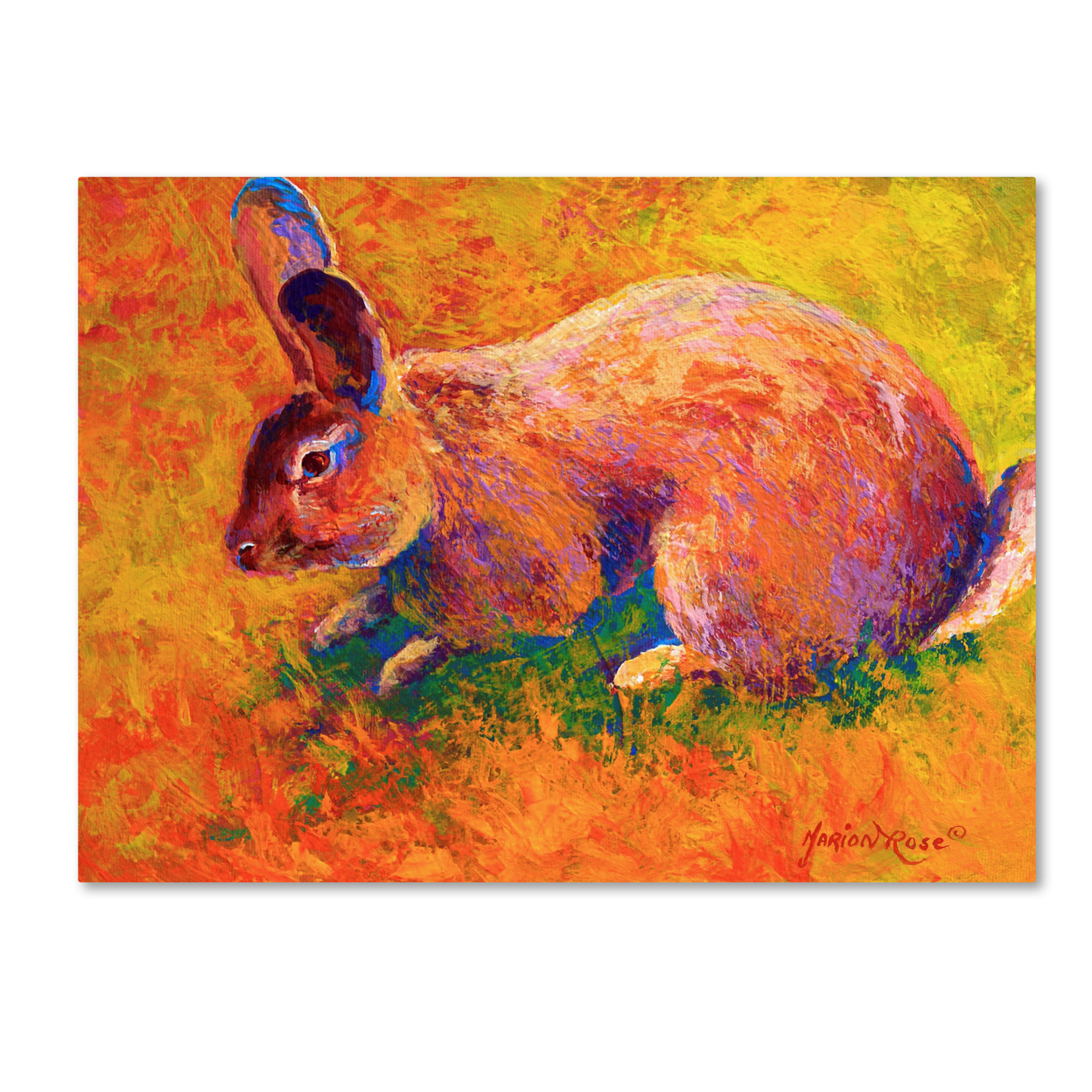 Marion Rose 'Rabbit 1' Ready To Hang Canvas Art 18 X 24 Inches Made In USA