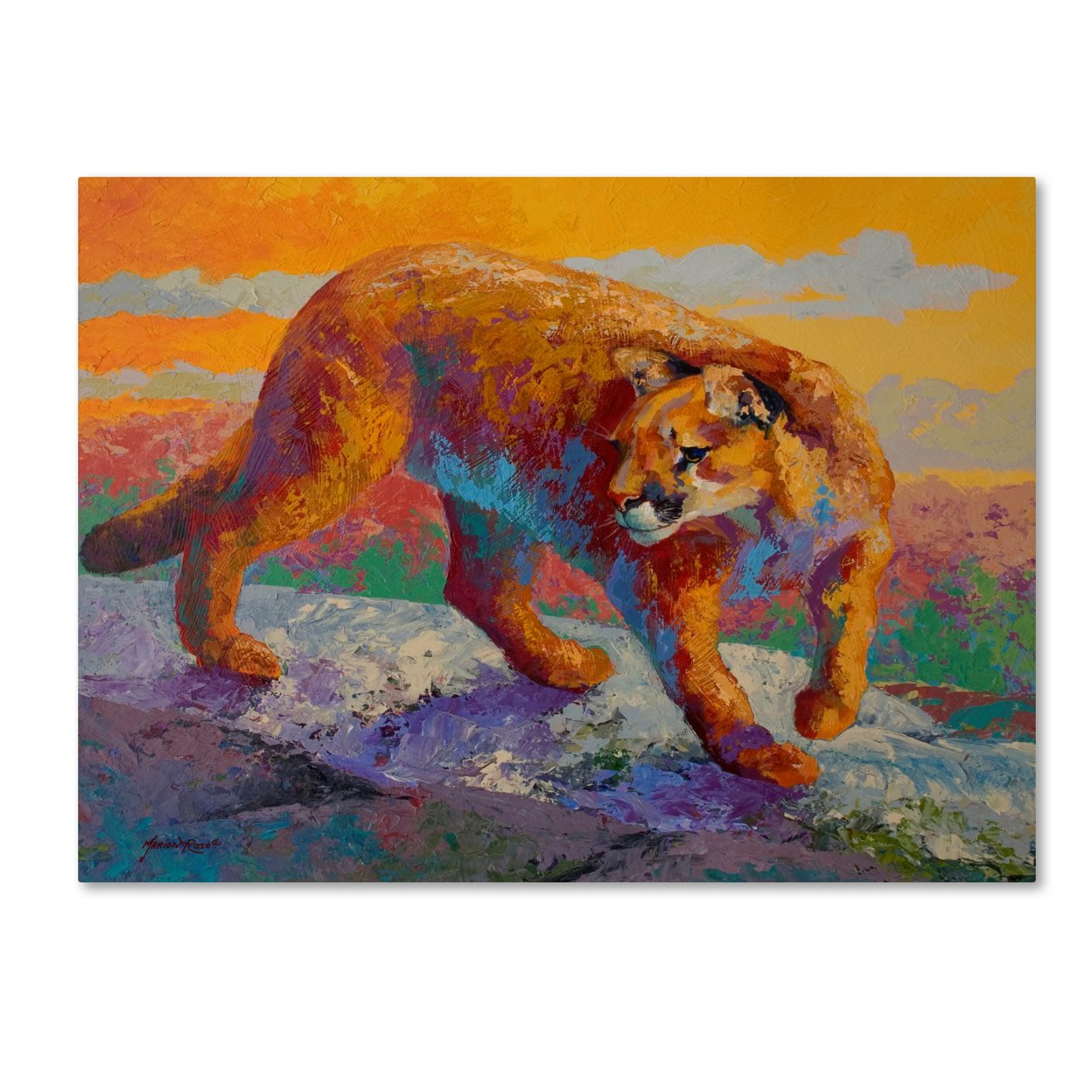 Marion Rose 'Ridge Cougar' Ready To Hang Canvas Art 18 X 24 Inches Made In USA
