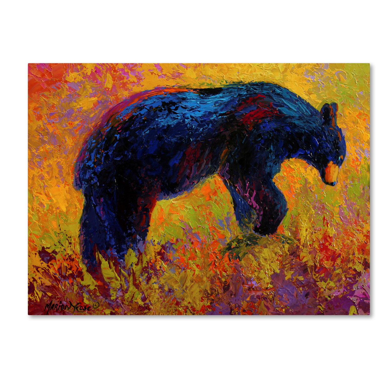 Marion Rose 'Young Adventurer Black Bear' Ready To Hang Canvas Art 18 X 24 Inches Made In USA