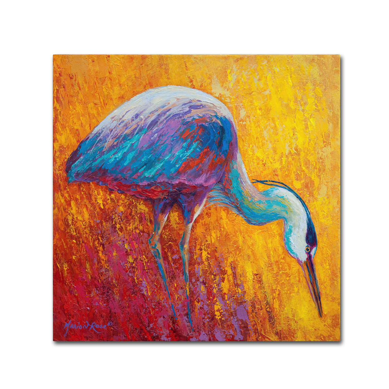 Marion Rose 'Daddy Long Legs IV' Ready To Hang Canvas Art 24 X 24 Inches Made In USA