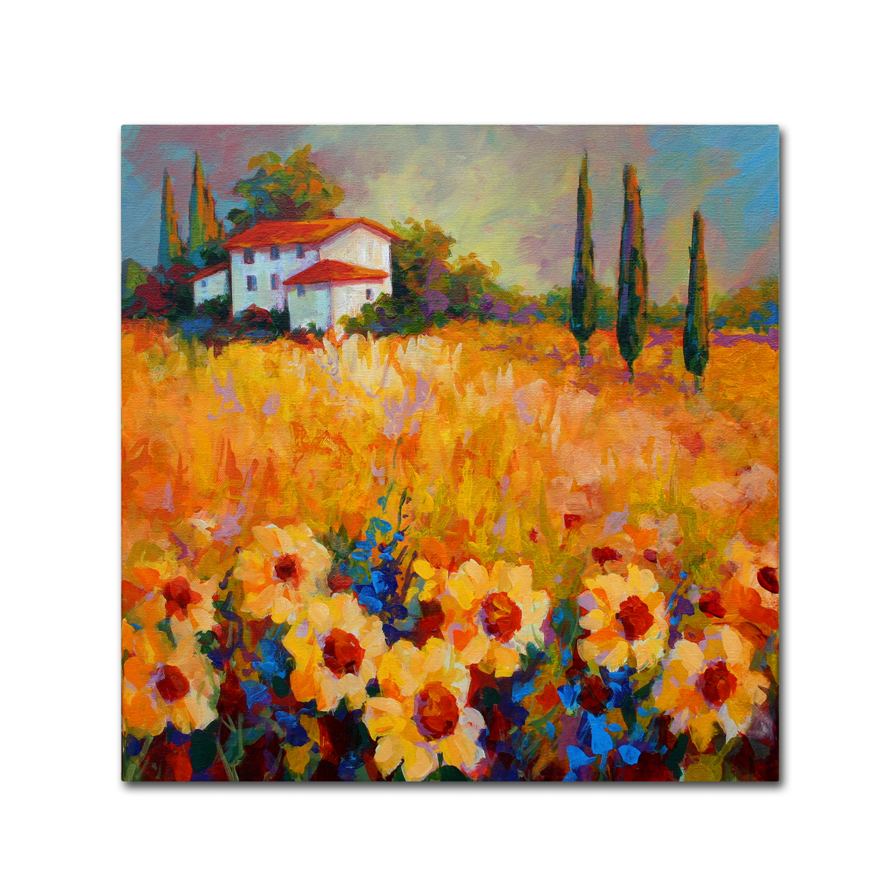 Marion Rose 'Tuscan Sunflowers' Ready To Hang Canvas Art 24 X 24 Inches Made In USA