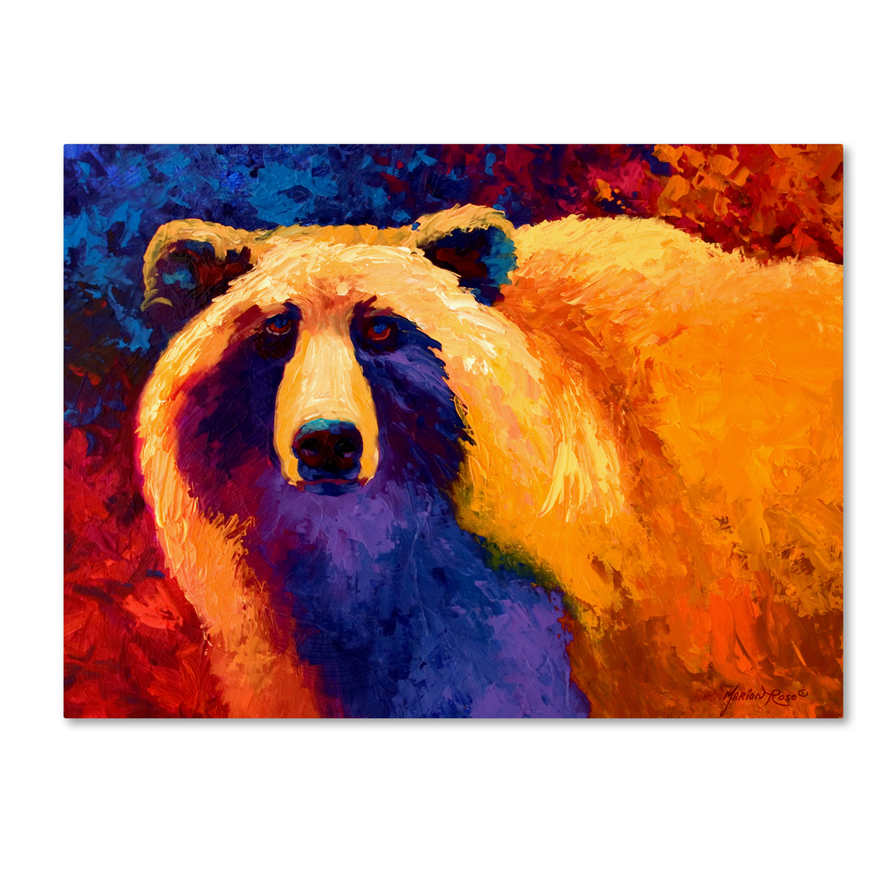 Marion Rose 'Ab Grizz II' Ready To Hang Canvas Art 24 X 32 Inches Made In USA