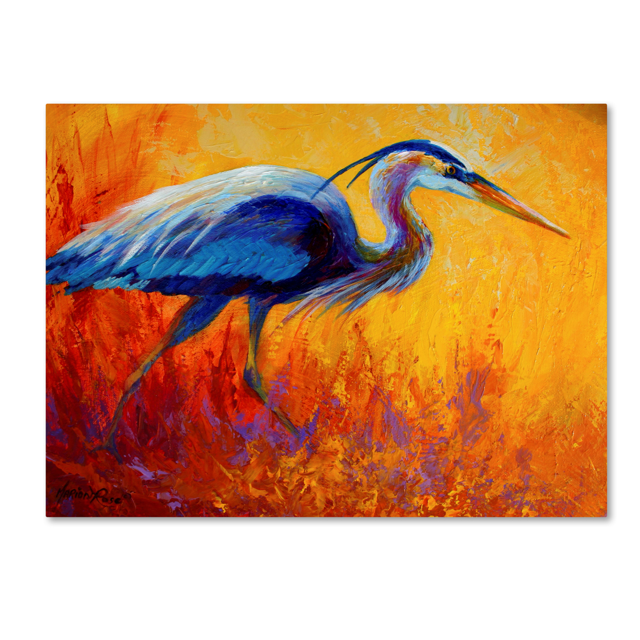 Marion Rose 'Daddy Long Legs III' Ready To Hang Canvas Art 24 X 32 Inches Made In USA
