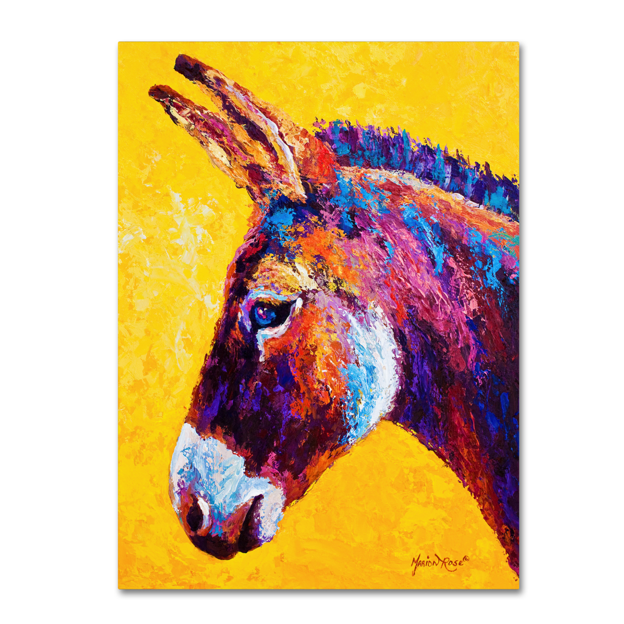 Marion Rose 'Donkey Portrait III' Ready To Hang Canvas Art 24 X 32 Inches Made In USA