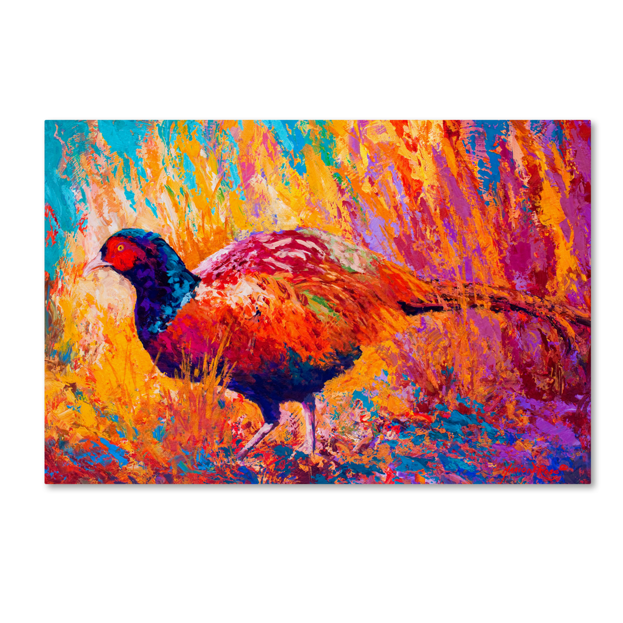 Marion Rose 'Pheasant' Ready To Hang Canvas Art 30 X 47 Inches Made In USA