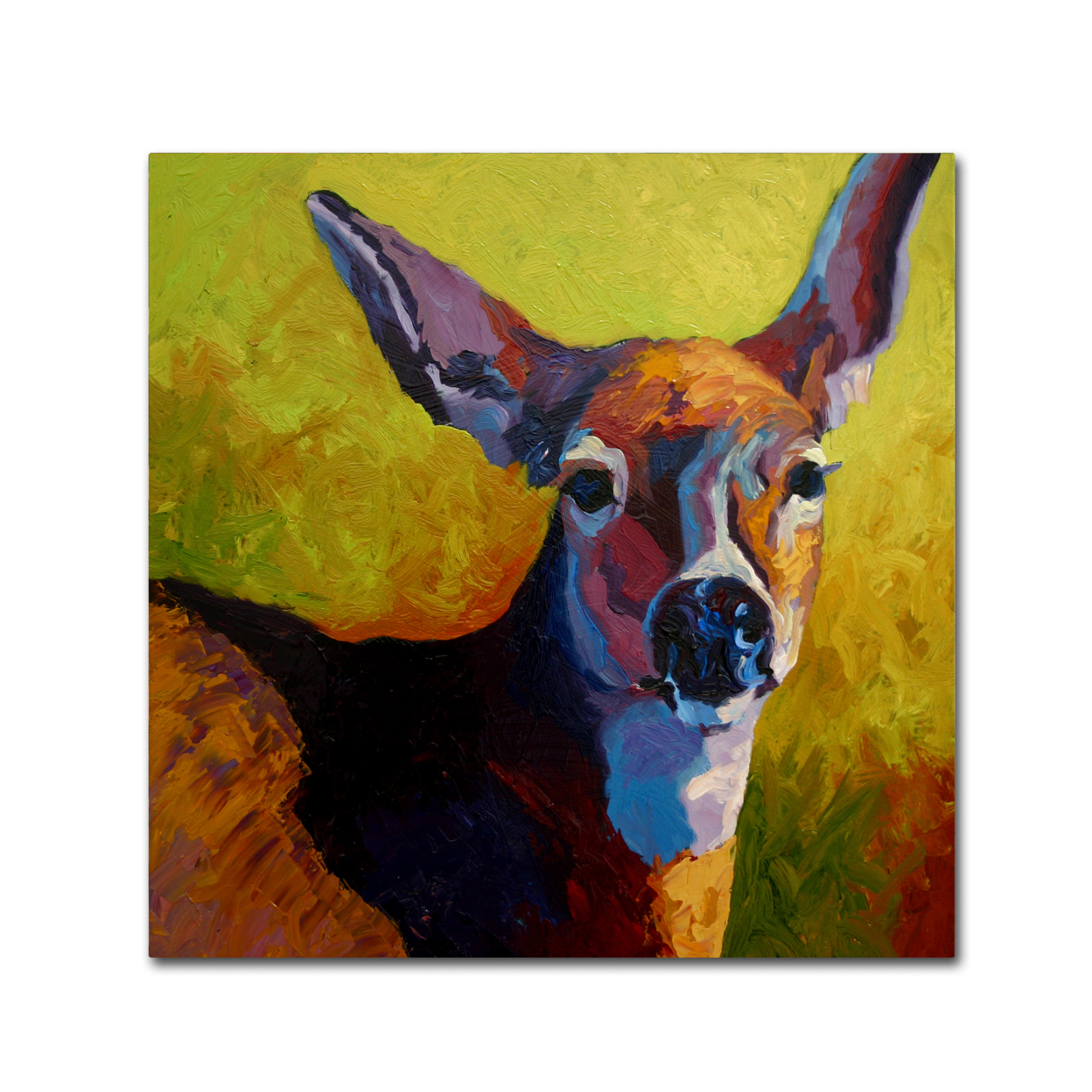 Marion Rose 'Doe Look' Ready To Hang Canvas Art 35 X 35 Inches Made In USA