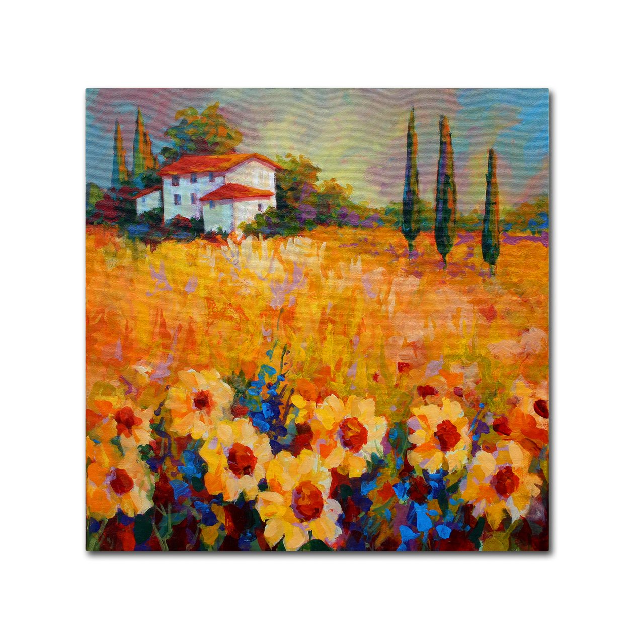 Marion Rose 'Tuscan Sunflowers' Ready To Hang Canvas Art 35 X 35 Inches Made In USA