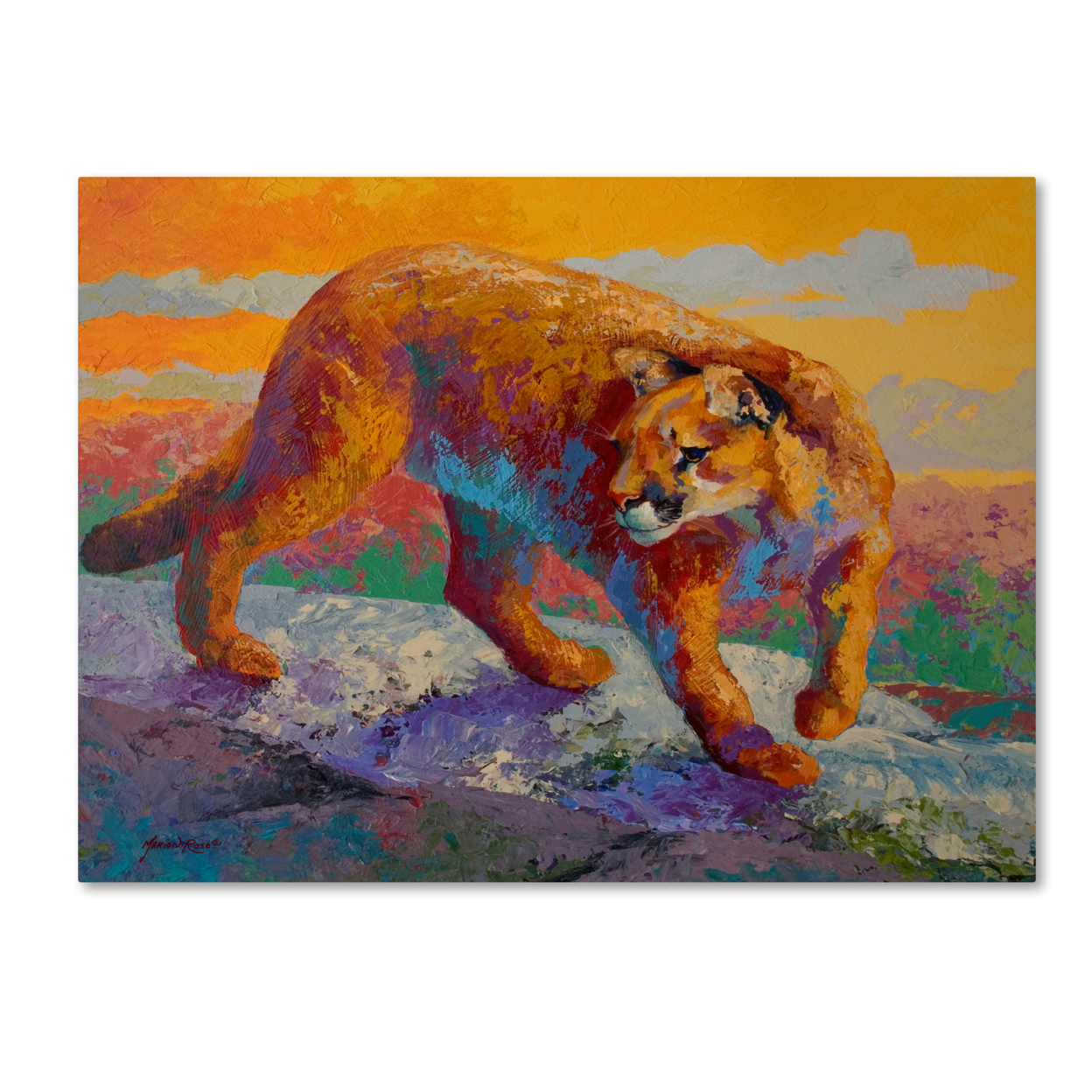 Marion Rose 'Ridge Cougar' Ready To Hang Canvas Art 35 X 47 Inches Made In USA