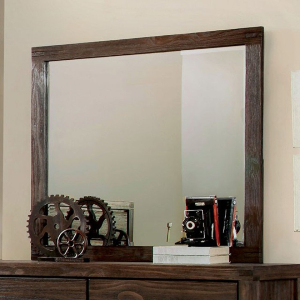 Rexburg Transitional Style Mirror, Dark Gray- Saltoro Sherpi
