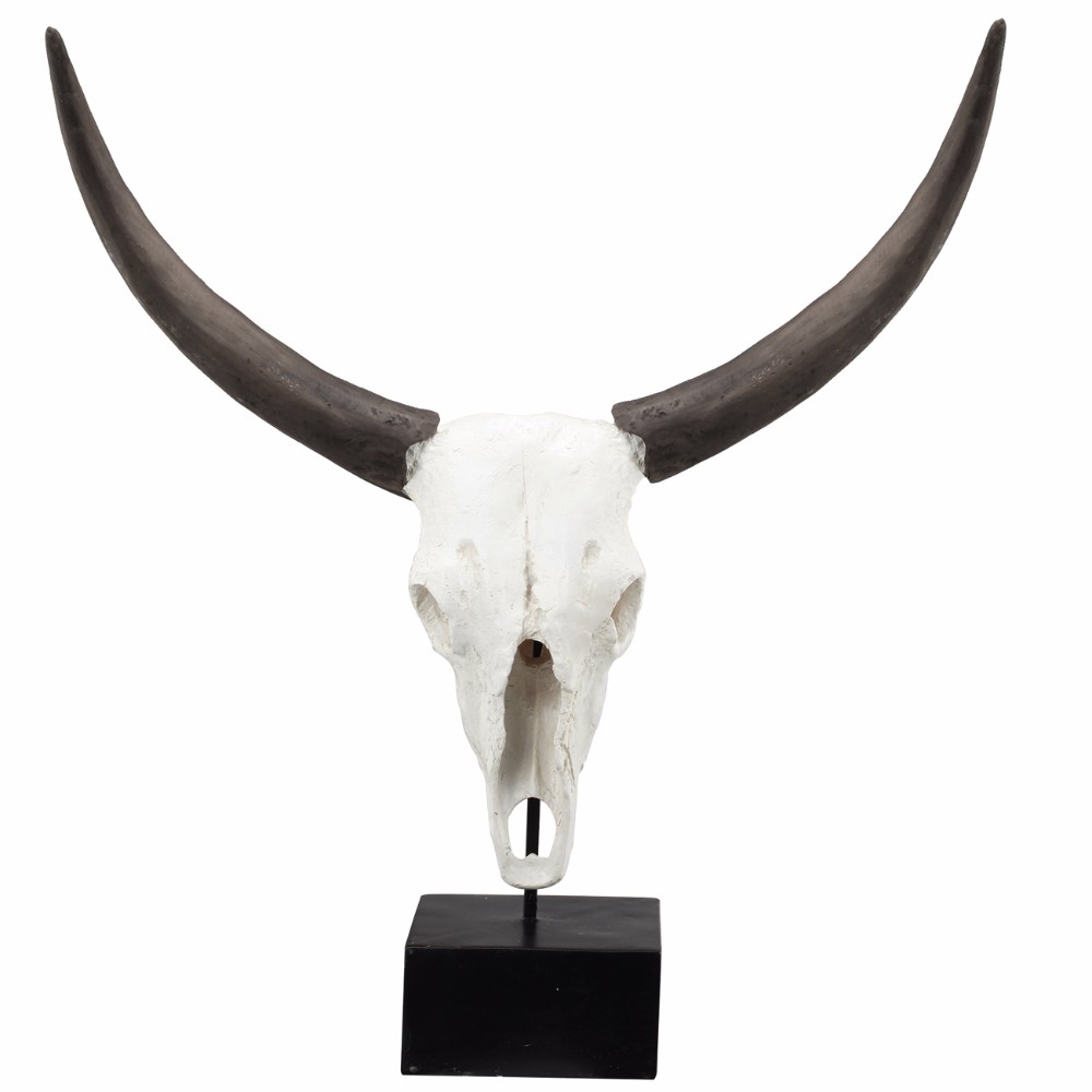 Wild & Beautiful Cow Skull, Resin- Saltoro Sherpi