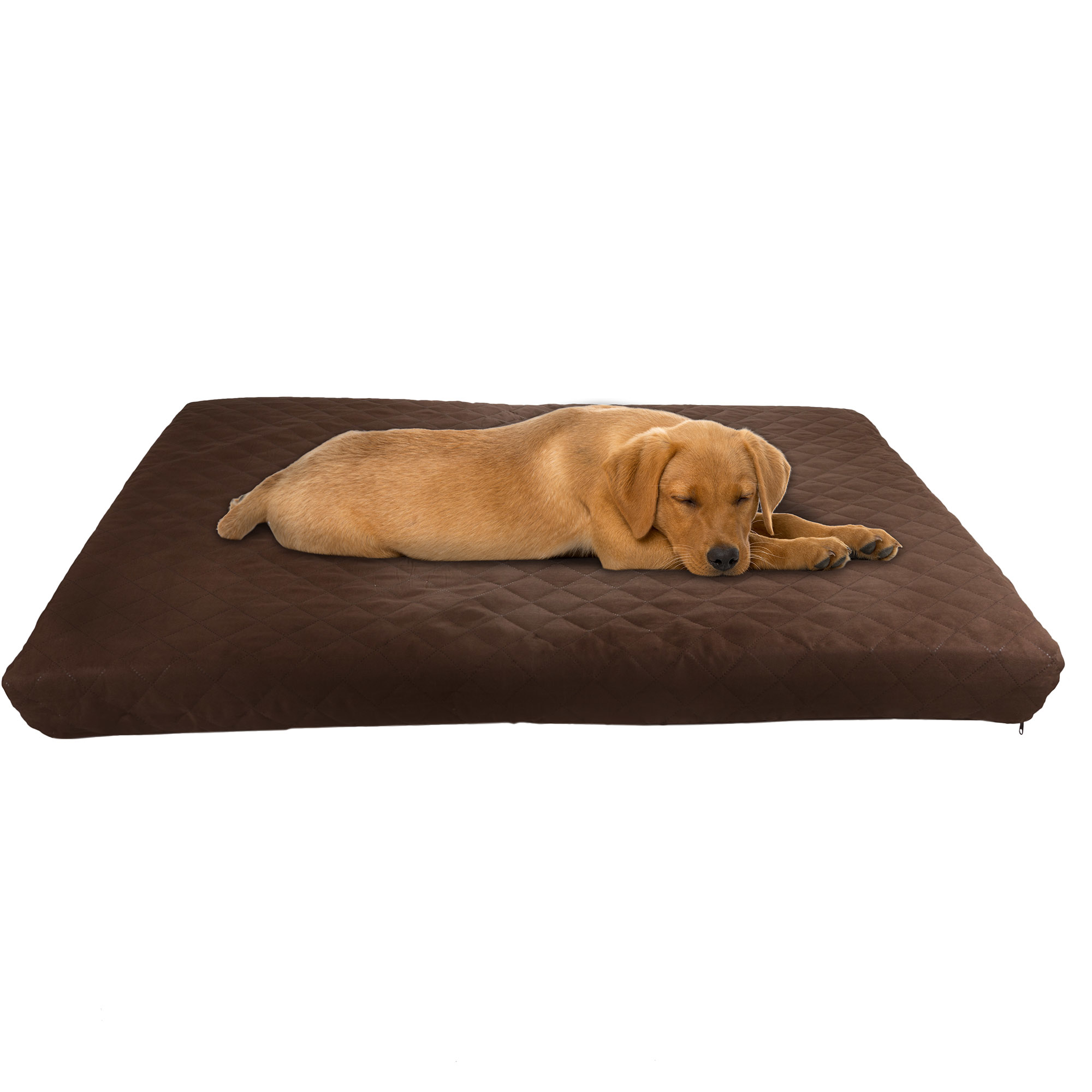 Waterproof Indoor Outdoor Memory Foam Orthopedic Medium Large Pet Dog Bed Removable Cover 27 X 36 Inches