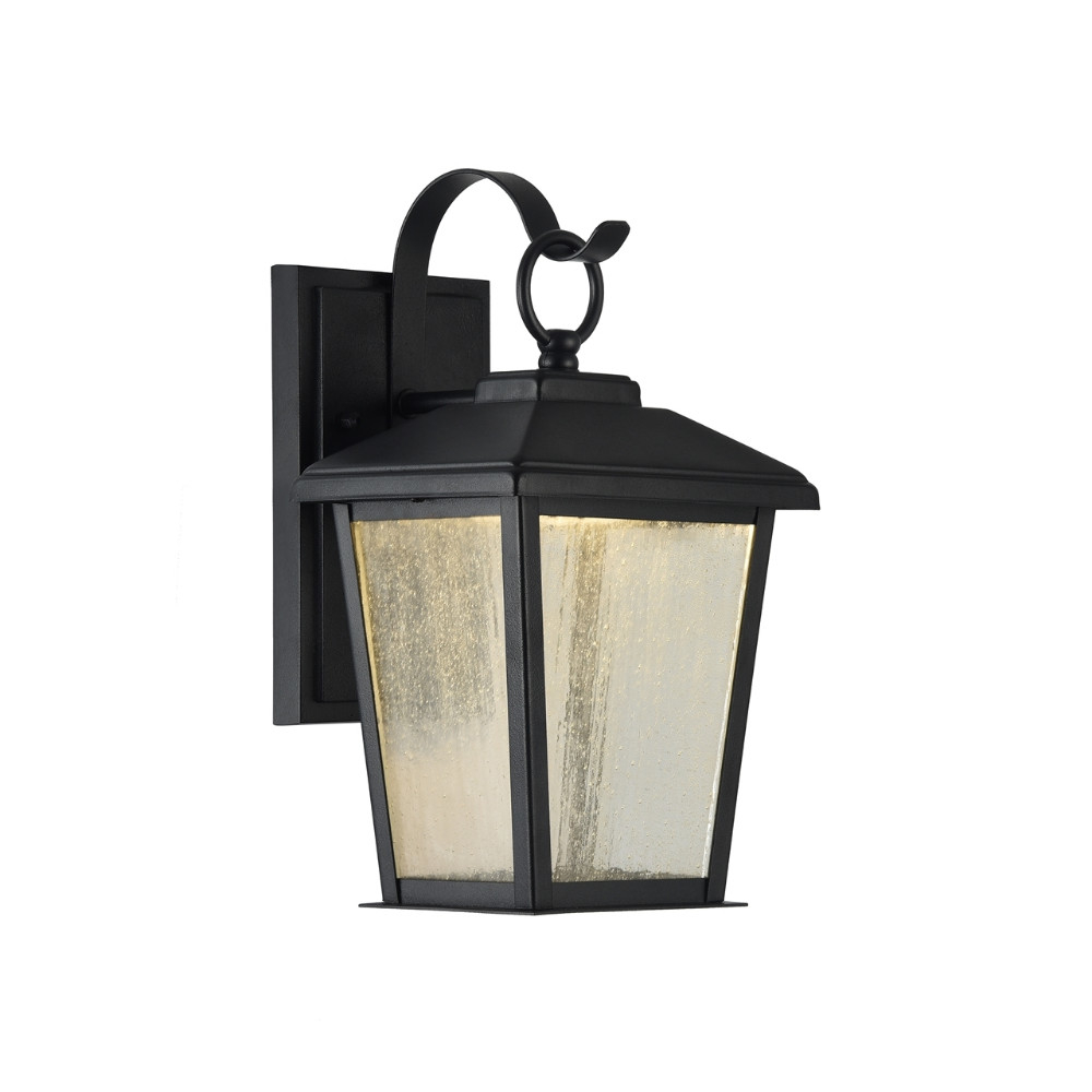 12 Inch Outdoor Wall Sconce with Clear Seeded Glass and LED Bulb, Black