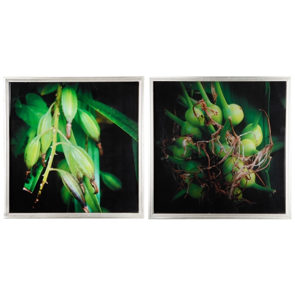 Botanical Photography Cotton Canvas Wall Art , Green, Set Of 2,- Saltoro Sherpi