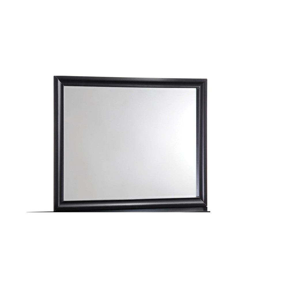 Contemporary Rectangular Mirror, Black- Saltoro Sherpi
