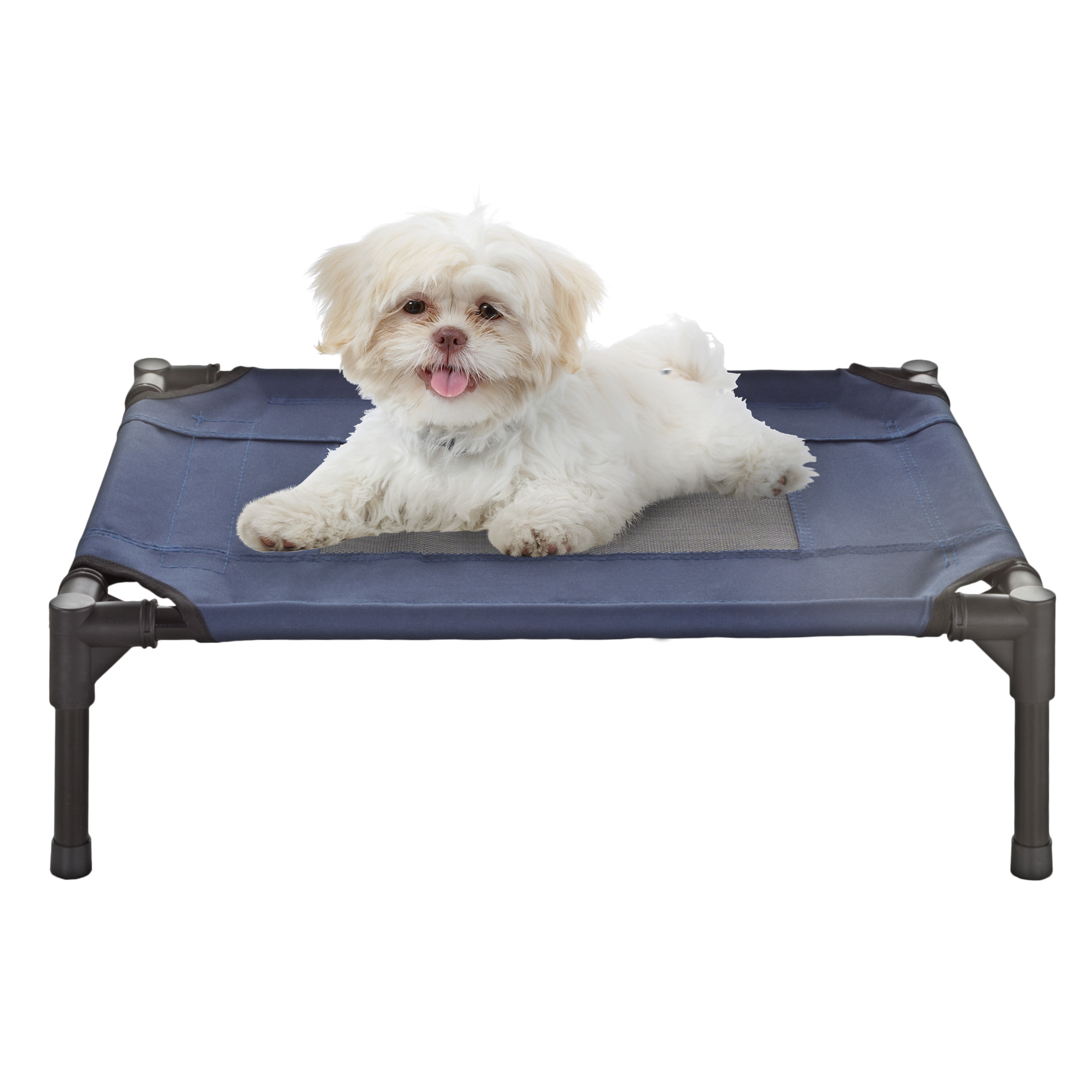 XSmall Dog Cat Bed Indoor Outdoor Raised Elevated Cot 24 X 18 Inch Camping Travel