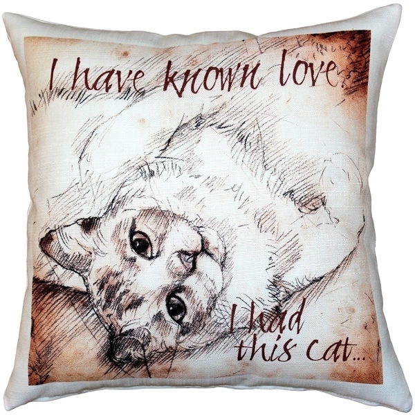Pillow Decor - I Have Known Love Cat Pillow 17x17