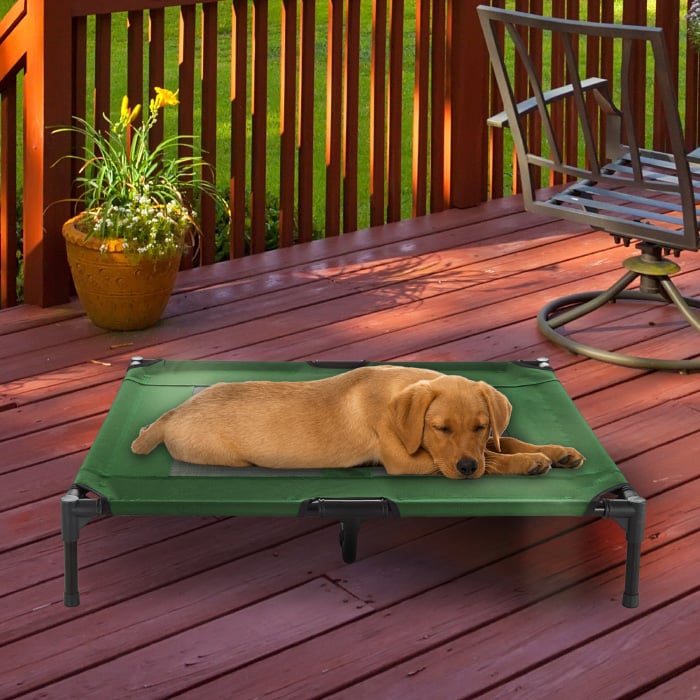 Elevated Dog Pet Bed-Portable Raised Cot-Style Bed W/ Non-Slip Feet, 36x 29.75x 7 Green Indoor Outdoor