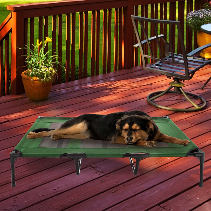 Elevated Pet Bed-Portable Raised Cot-Style Bed W/ Non-Slip Feet, 48x 35.5x 9 Green X Large Dogs