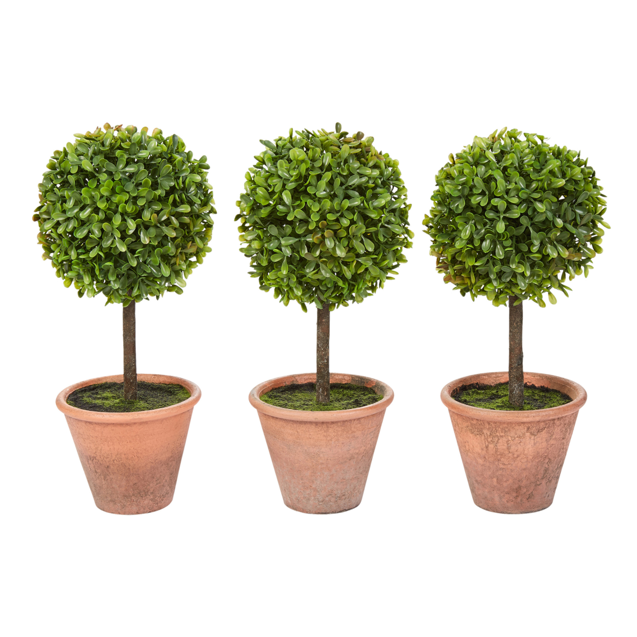 Faux Boxwood 3 Matching Realistic 11.5 Inch Tall Topiary Arrangements In Decorative Pots (Set Of 3)