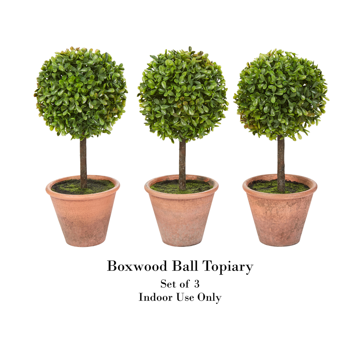 Faux Boxwood 3 Matching Realistic 11.5 Inch Tall Topiary Arrangements In Decorative Pots (Set Of 3)