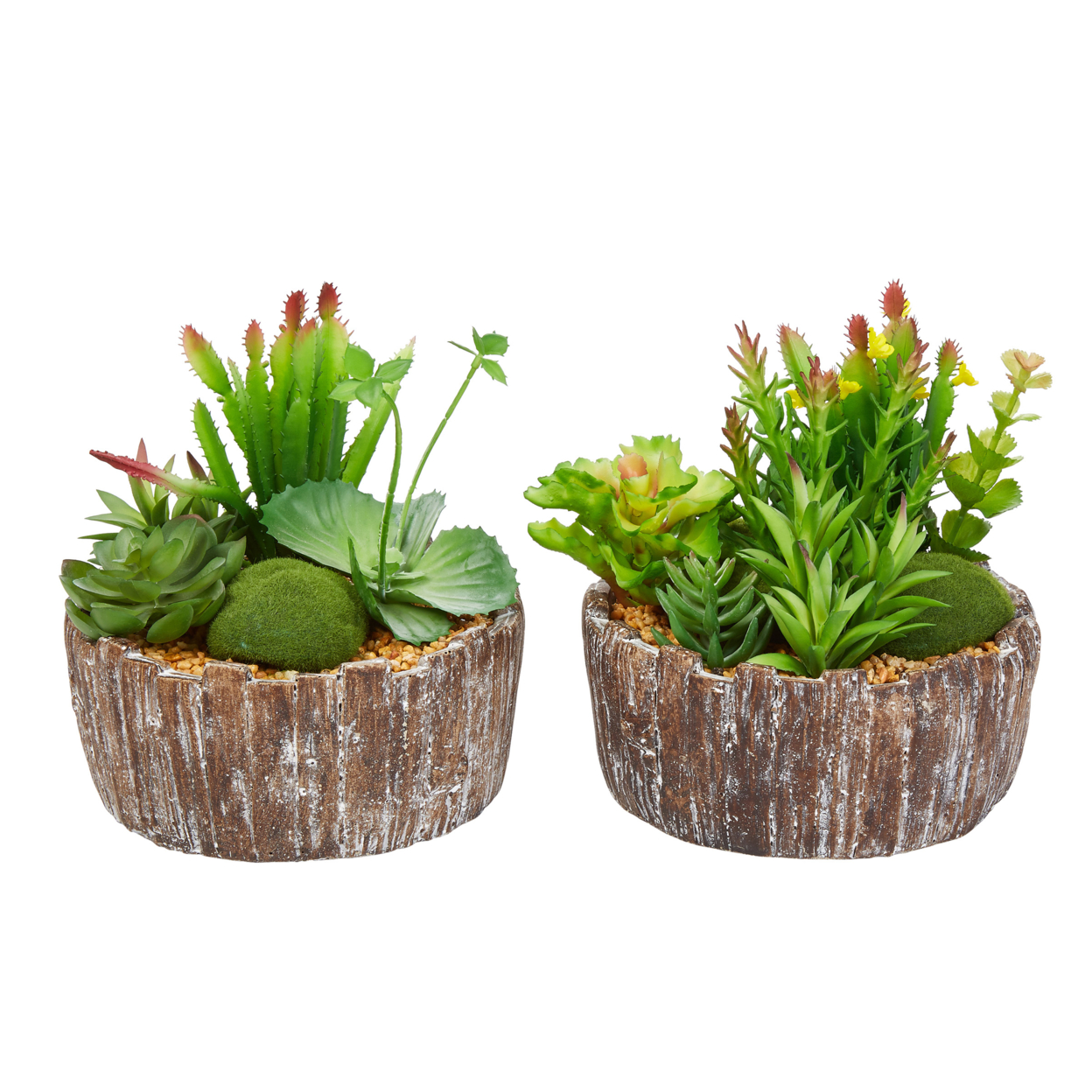 Set Of 2 Faux Succulents Assorted 8 Tall - Greenery Arrangements In Decorative Concrete Planters