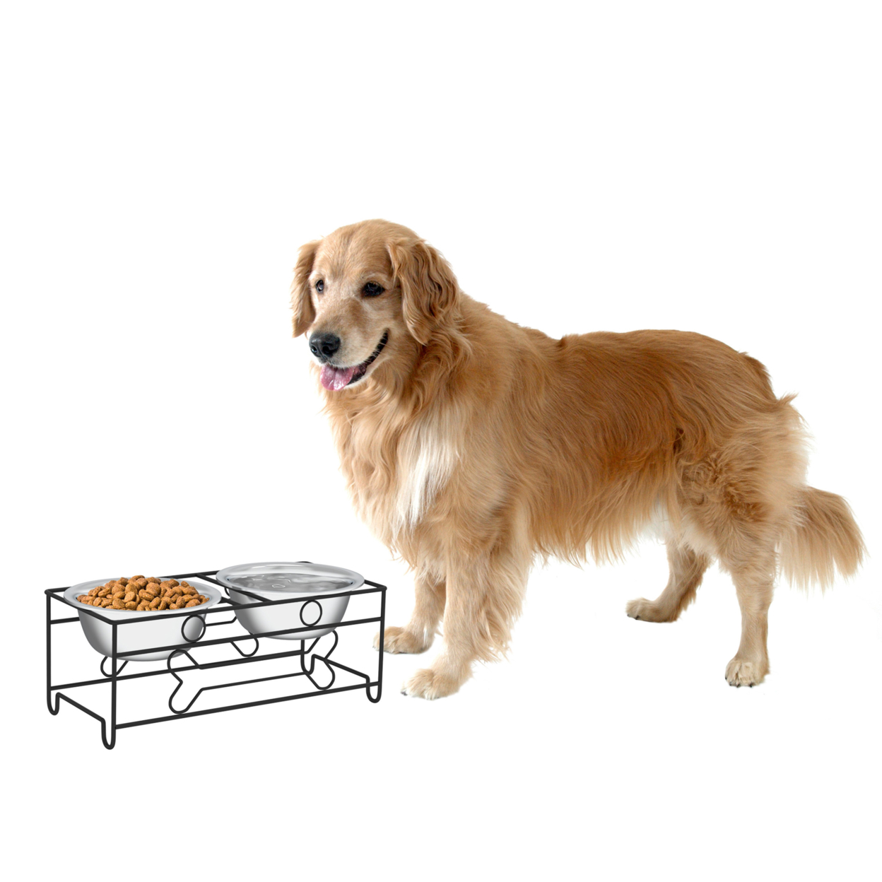 Stainless Steel Raised Food And Water Bowls Bone Decor 6.5 Inch Tall Stand For Dogs And Cats-2 Bowls, 40 Oz