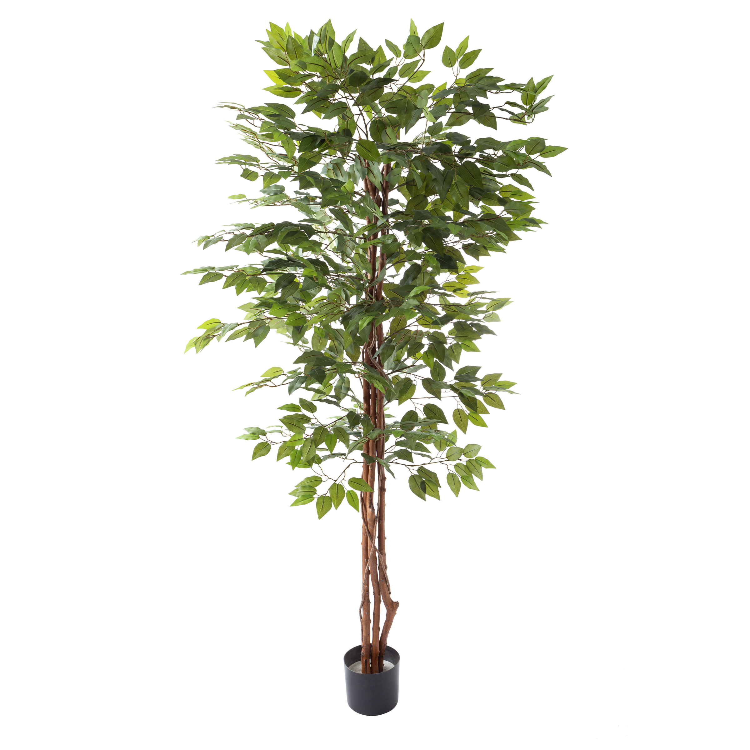 80 Inch Artificial Ficus Tree House Accent Plant In 6 Inch Pot Many Leaves Indoor