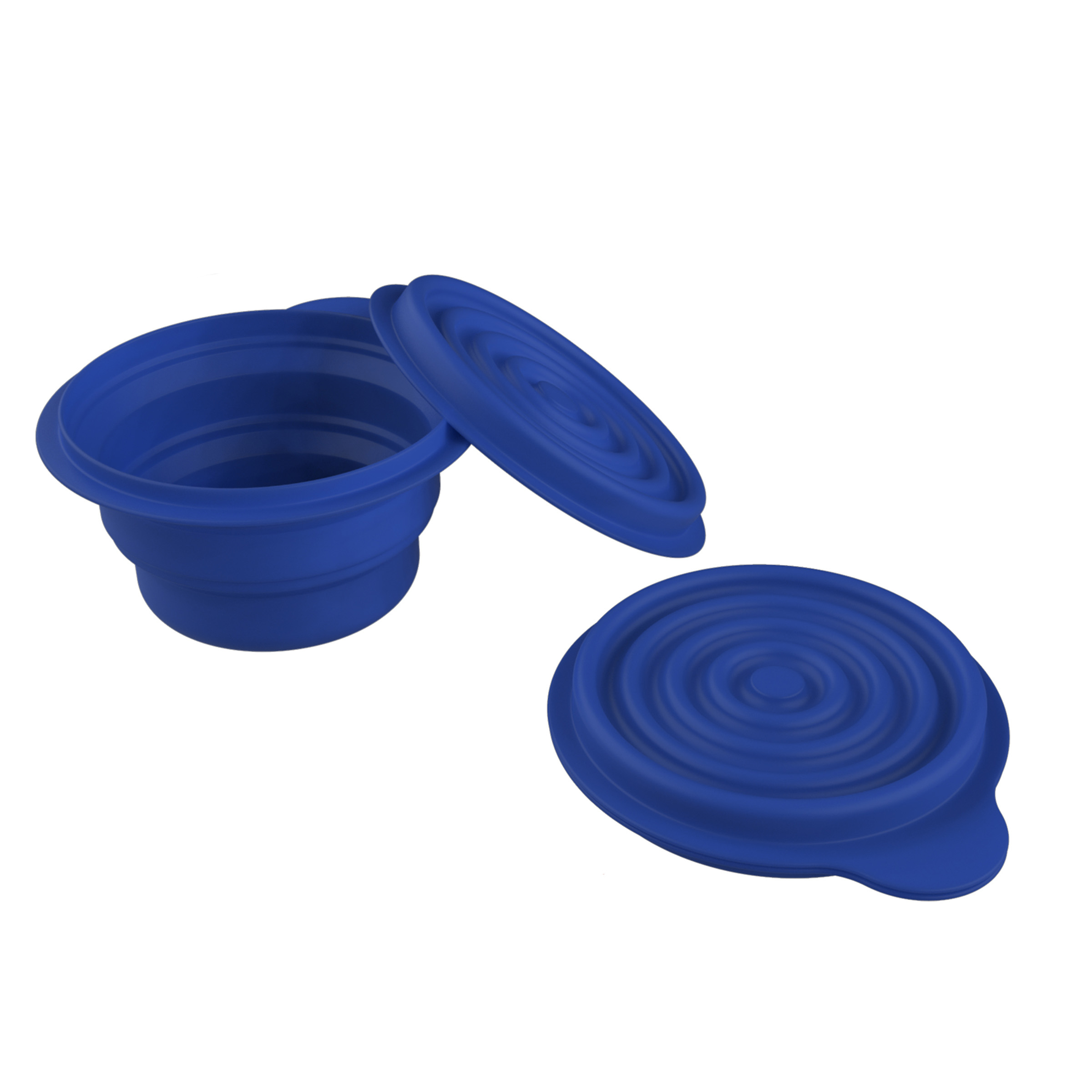 Collapsible Bowls Travel Hiking Camping BPA Free Easy Carry With Lids Set Of 2 Containers With Lids - Blue