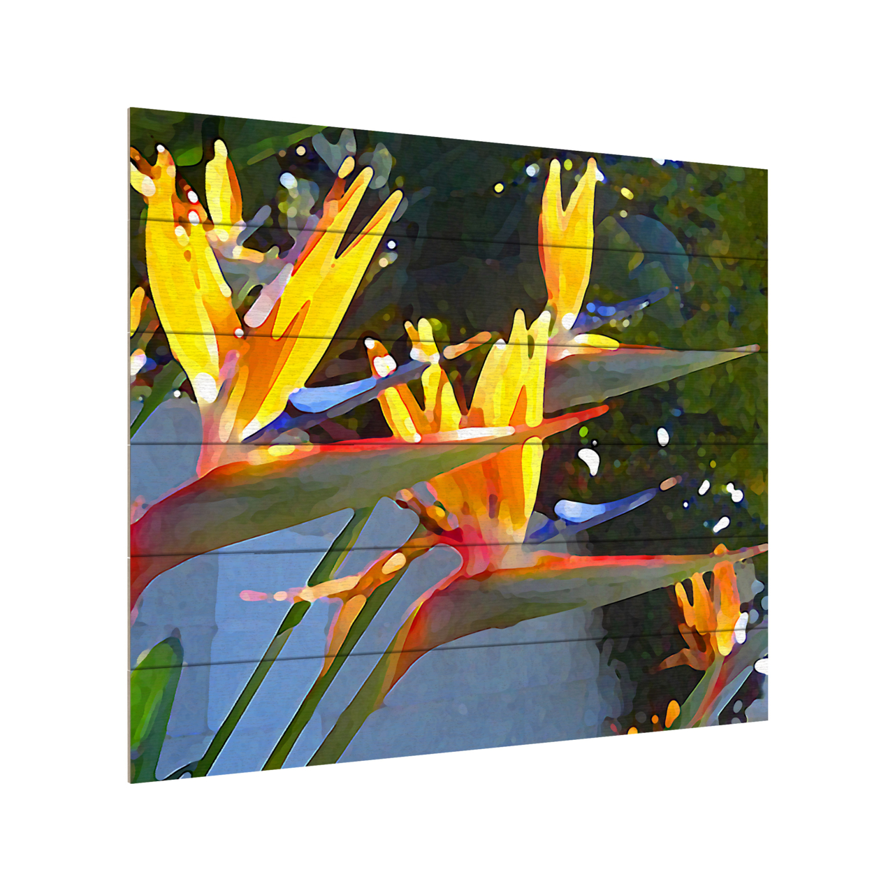 Wooden Slat Art 18 X 22 Inches Titled Bird Of Paradise Backlit By Sun Ready To Hang Home Decor Picture