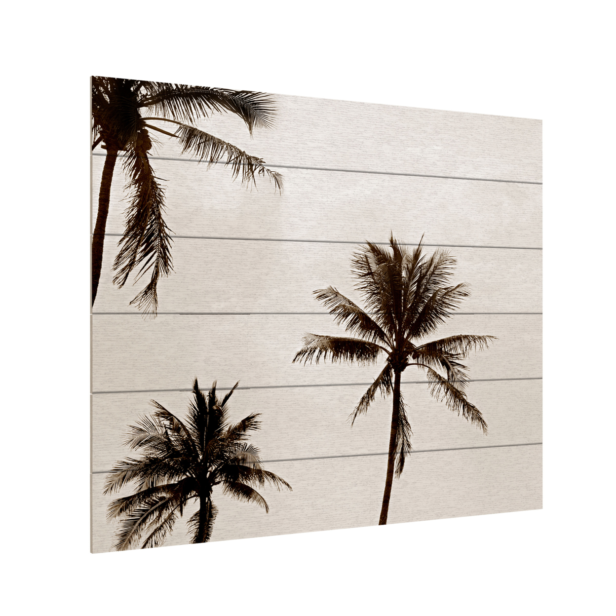 Wooden Slat Art 18 X 22 Inches Titled Black & White Palms Ready To Hang Home Decor Picture