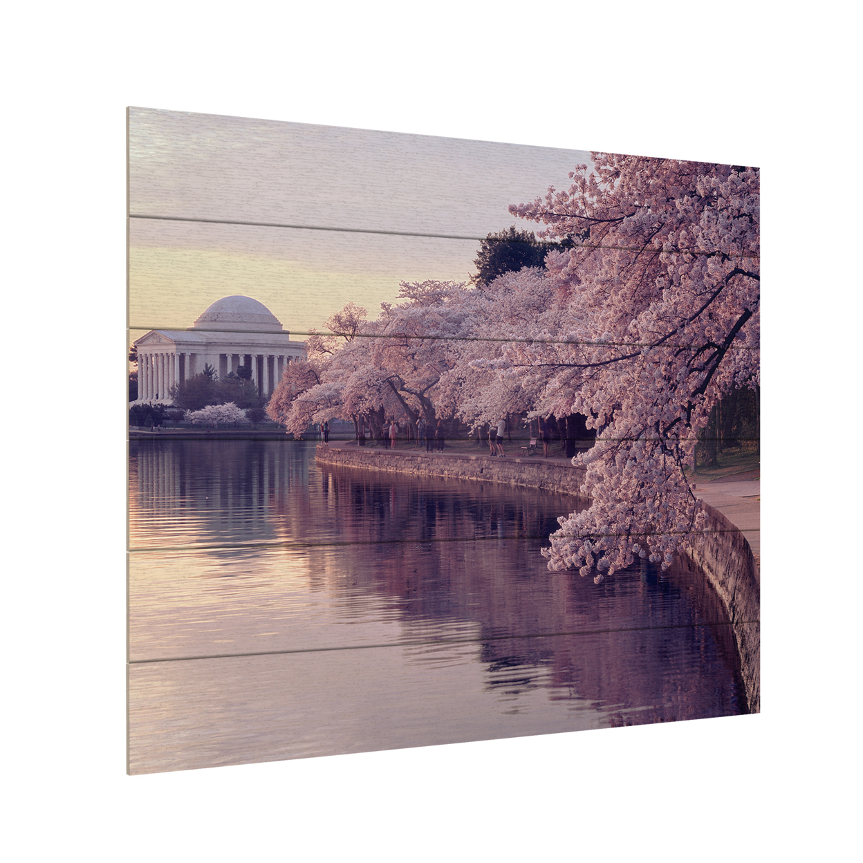 Wooden Slat Art 18 X 22 Inches Titled Cherry Blossoms Jefferson Memorial Ready To Hang Home Decor Picture