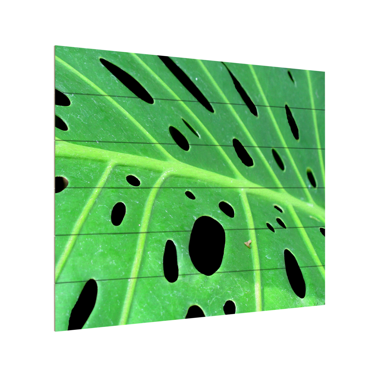 Wooden Slat Art 18 X 22 Inches Titled Tropical Leaf Ready To Hang Home Decor Picture