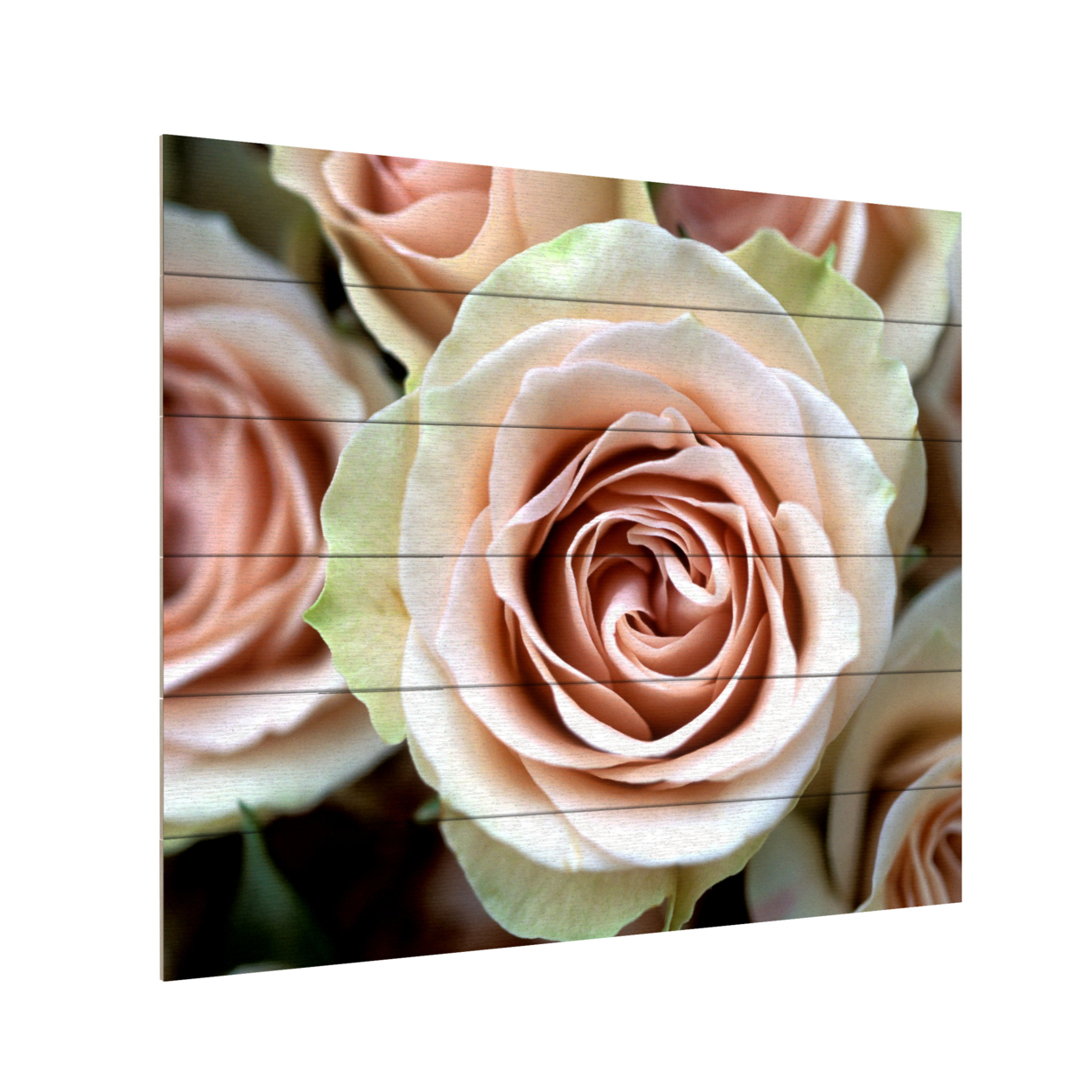 Wooden Slat Art 18 X 22 Inches Titled Pale Pink Roses Ready To Hang Home Decor Picture