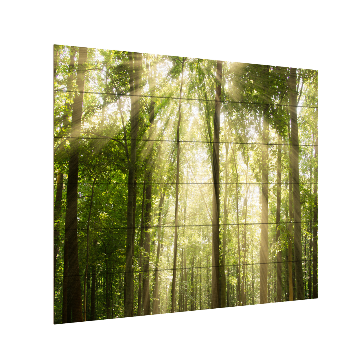 Wooden Slat Art 18 X 22 Inches Titled Sunrays Through Treetops Ready To Hang Home Decor Picture