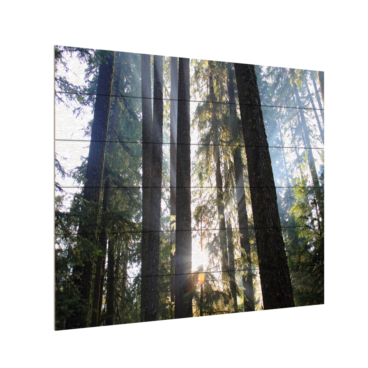 Wooden Slat Art 18 X 22 Inches Titled Sunrays Ready To Hang Home Decor Picture