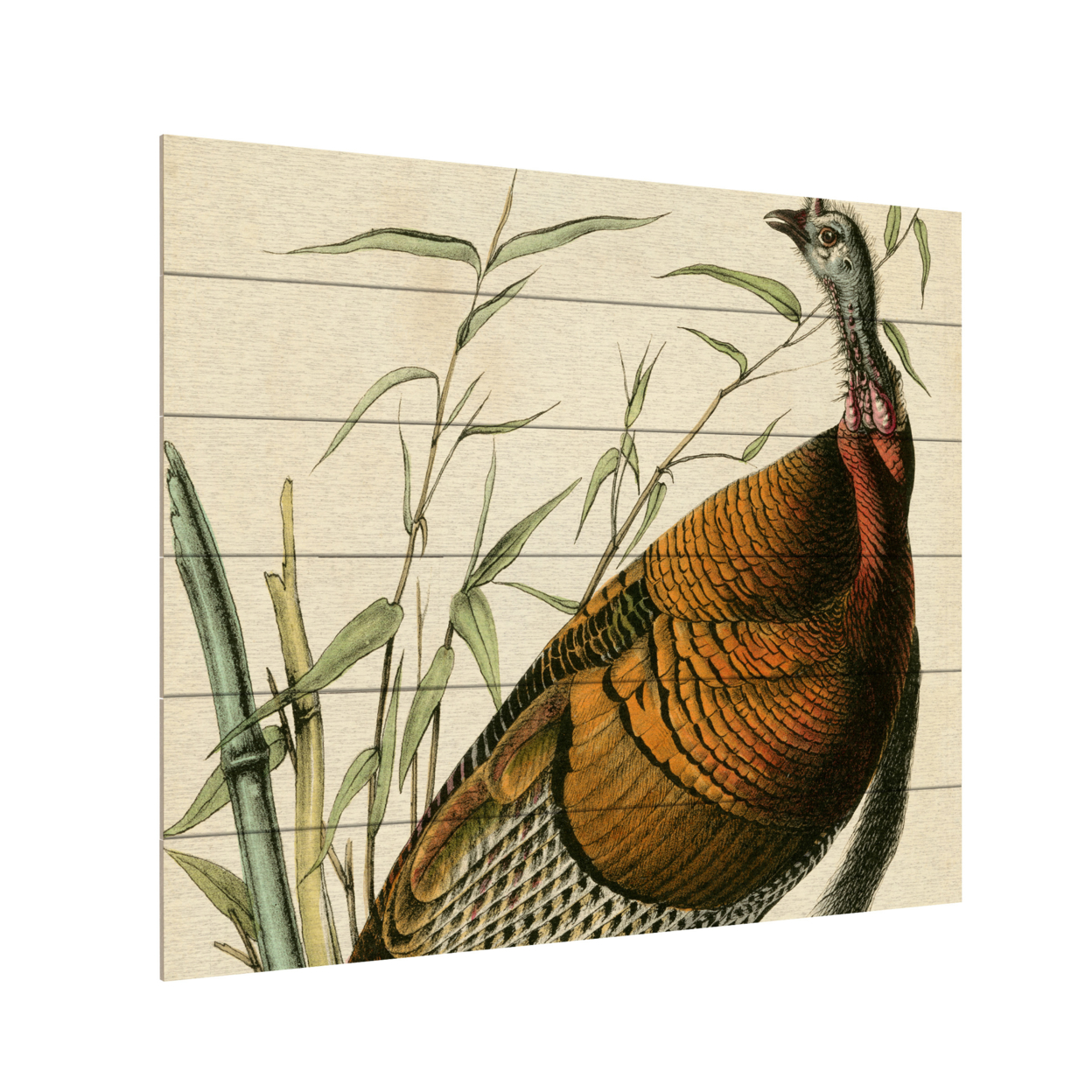 Wooden Slat Art 18 X 22 Inches Titled Audubon Wild Turkey Ready To Hang Home Decor Picture