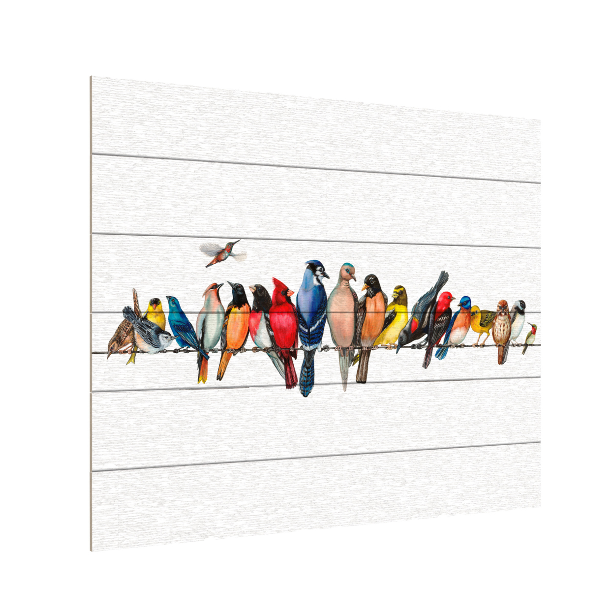 Wooden Slat Art 18 X 22 Inches Titled Large Bird Menagerie Ii Ready To Hang Home Decor Picture