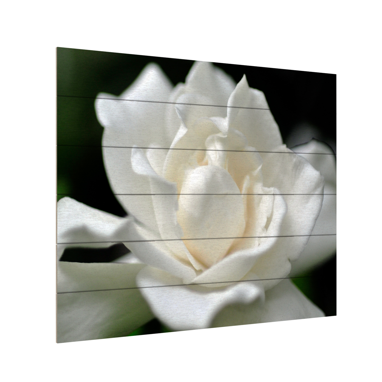 Wooden Slat Art 18 X 22 Inches Titled Lovely Gardenia Ready To Hang Home Decor Picture