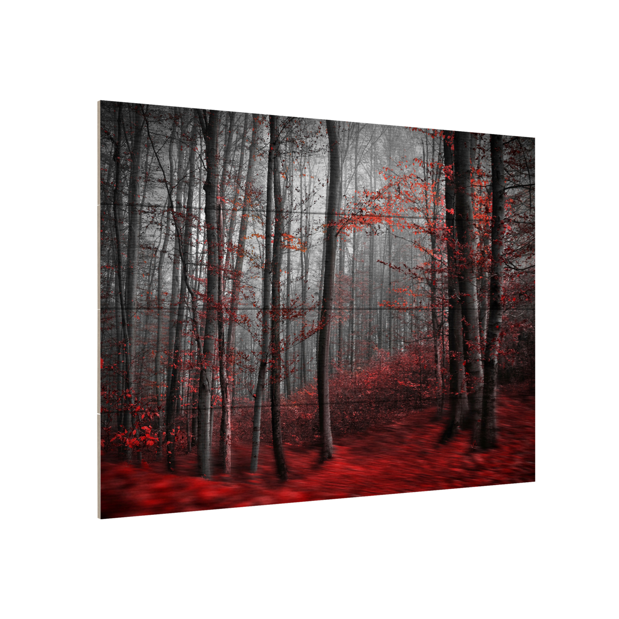 Wall Art 12 X 16 Inches Titled Bloody River Ready To Hang Printed On Wooden Planks