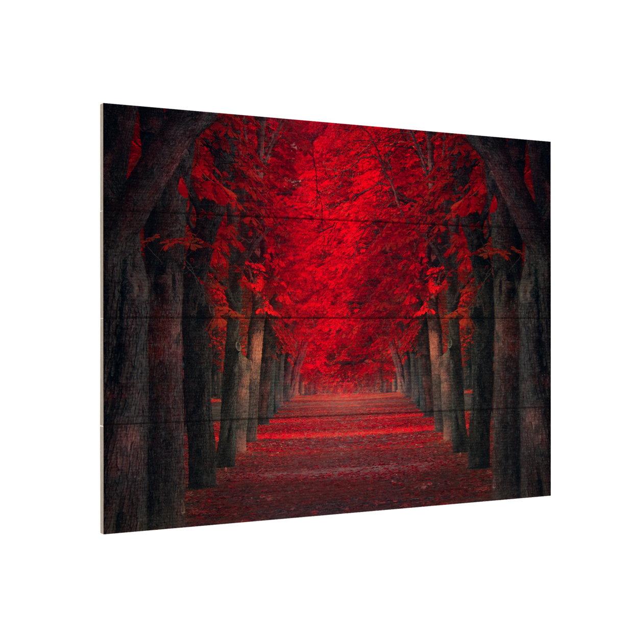 Wall Art 12 X 16 Inches Titled Endless Passion Ready To Hang Printed On Wooden Planks