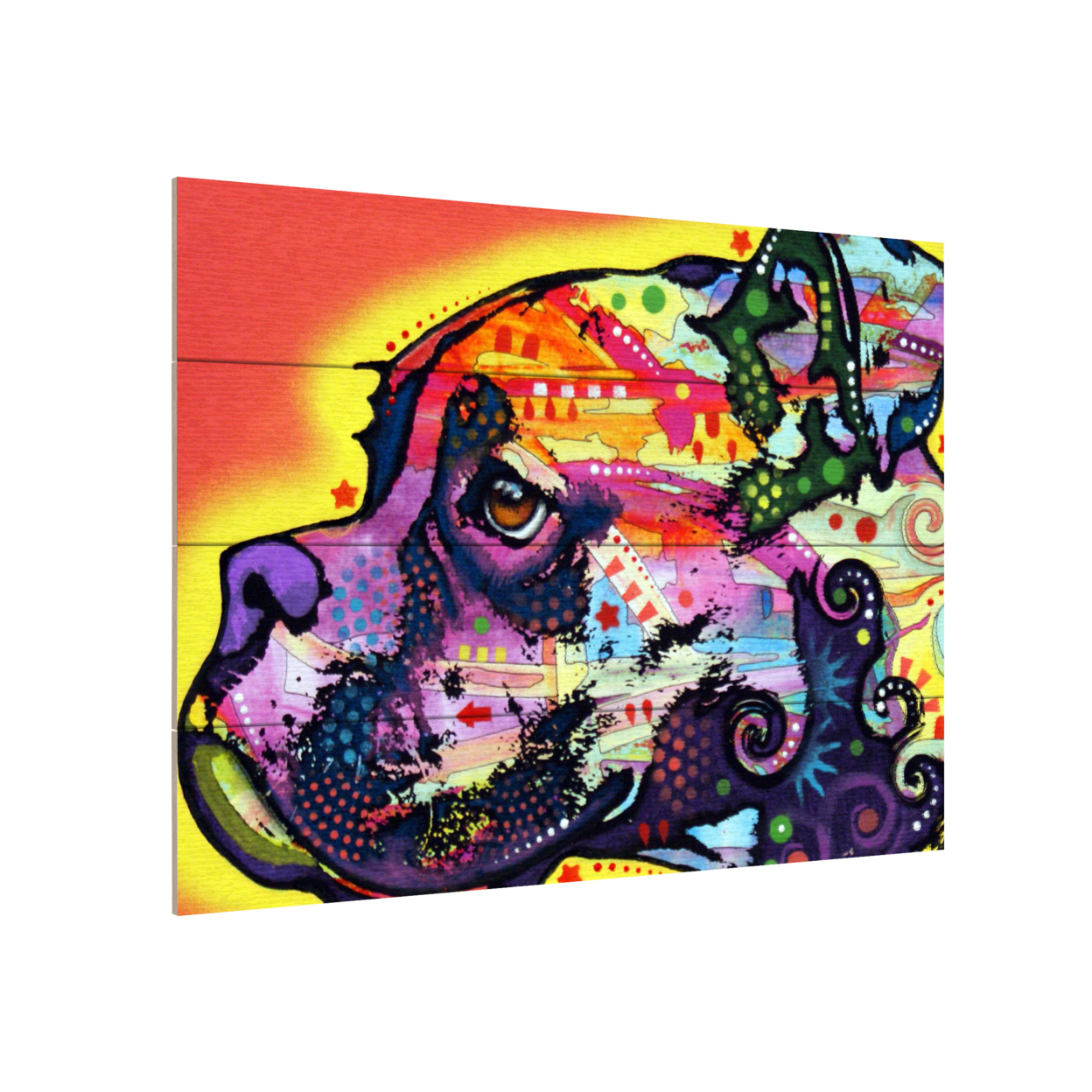 Wall Art 12 X 16 Inches Titled Profile Boxer Ready To Hang Printed On Wooden Planks