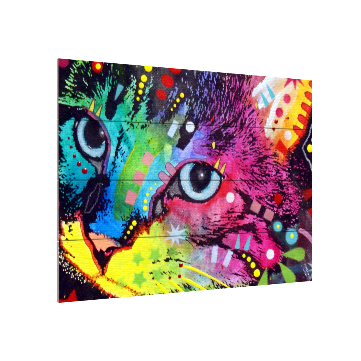 Wall Art 12 X 16 Inches Titled Thinking Cat Crowned Ready To Hang Printed On Wooden Planks