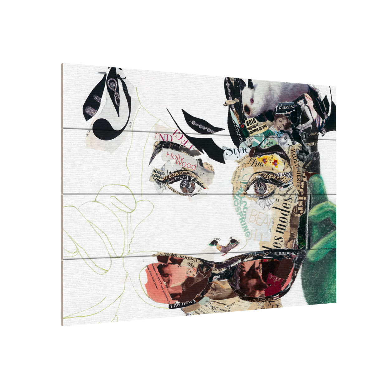 Wall Art 12 X 16 Inches Titled Audrey Ready To Hang Printed On Wooden Planks