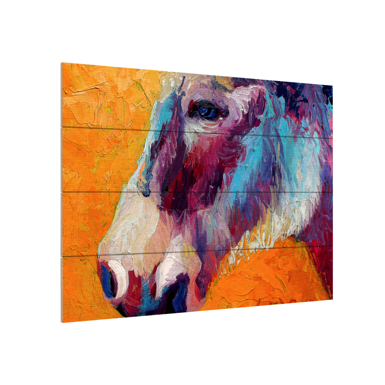 Wall Art 12 X 16 Inches Titled Burro II 1 Ready To Hang Printed On Wooden Planks
