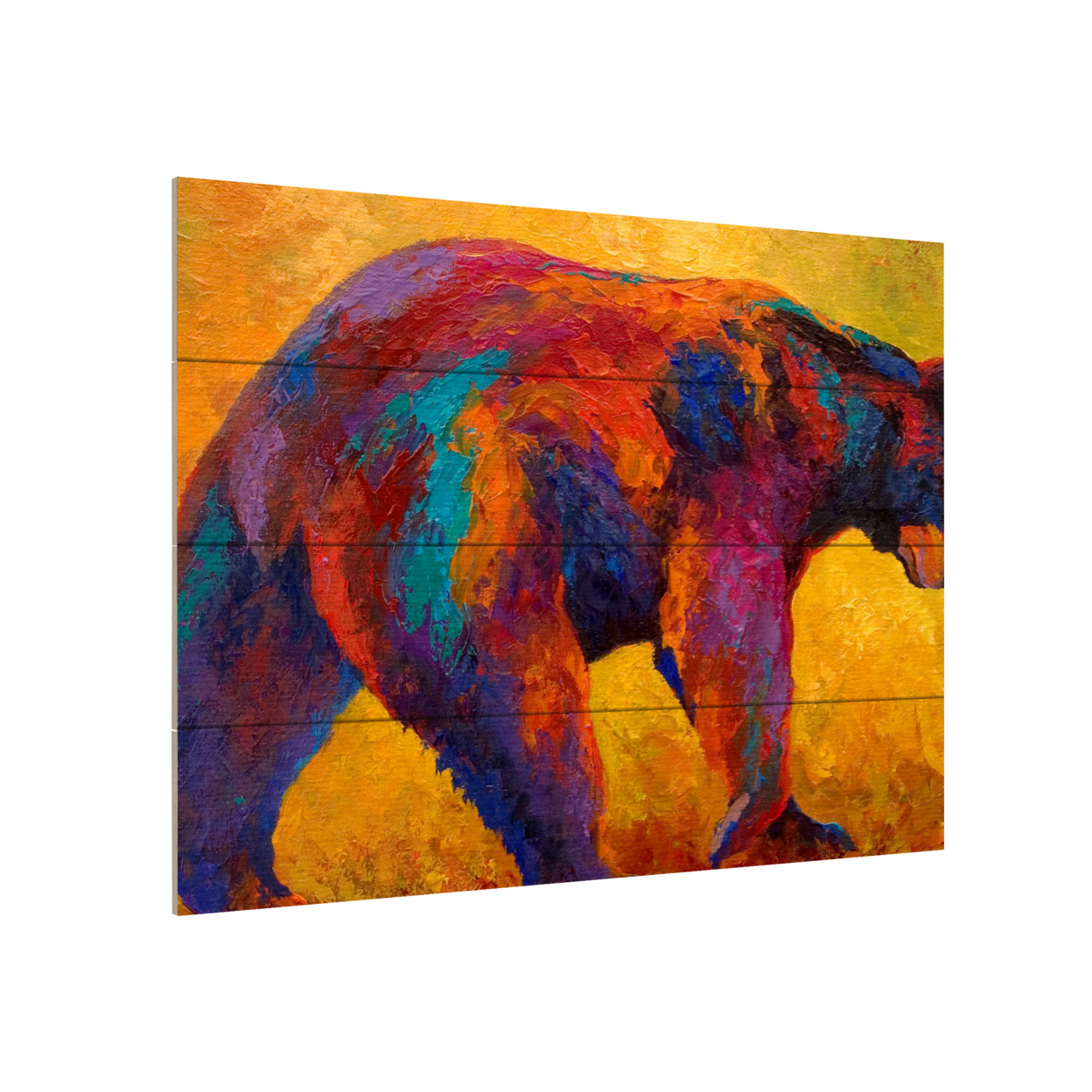 Wall Art 12 X 16 Inches Titled Daily Rounds Black Bear Ready To Hang Printed On Wooden Planks