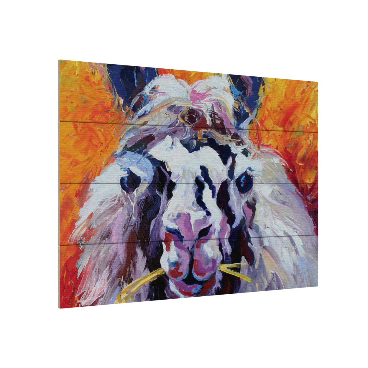 Wall Art 12 X 16 Inches Titled Llama III Ready To Hang Printed On Wooden Planks